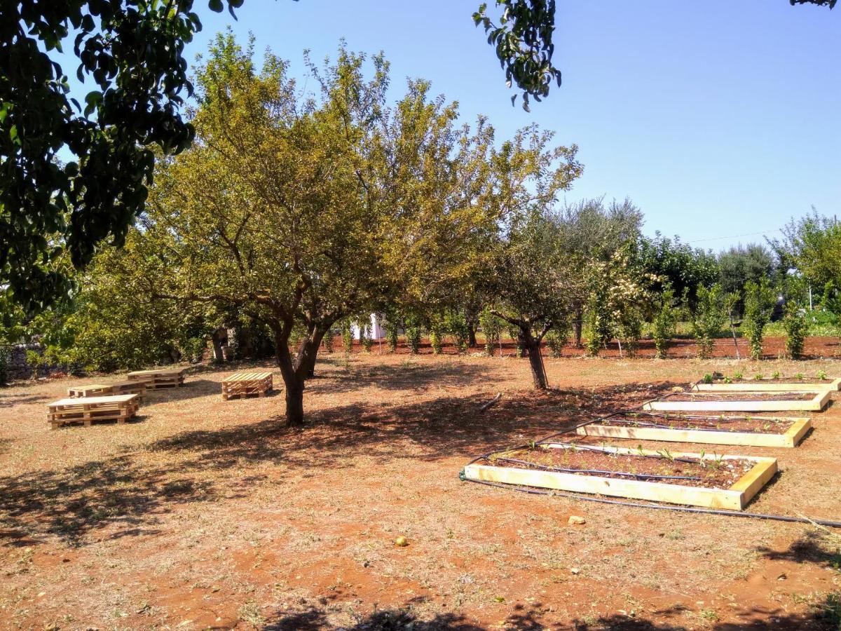 I Colmi - Trulli Suites Martina Franca Ngoại thất bức ảnh